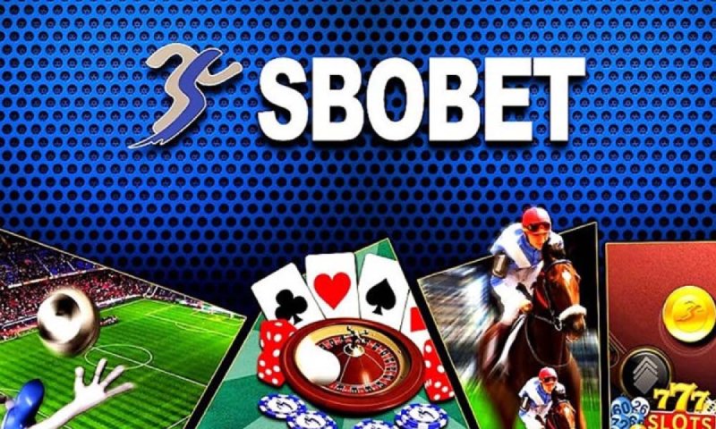 Lý do tại sao nên chọn sbobet 88VN để tham gia đặt cược cho mình